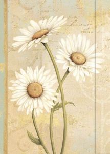 Beautiful Daisies - Small Journal