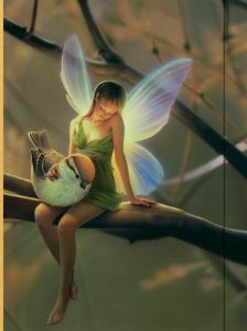 Fairy & Bird - Medium Journal