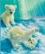 Polar Bears - Lock Journal